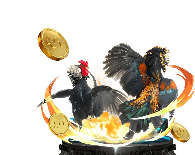 Giới thiệu sòng bạc trực tuyến daga casino